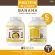 Protein PLANT Plant protein formula 1 flavor, banana, protein from 3 types of plants, Orange, peas and potatoes, 1 bottle of 2.27 kg.