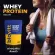 10 pieces of Biovitt Whey Protein Isolate Milk Flavor, Biovitway Protein, adding muscle, lean, fat, weight control, dark, dark, fragrant, delicious, easy to eat.