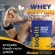 Biovitt Whey Protein Isolate Protein Biovit Protein Protein, no sugar, no fat