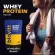 Biovitt Whey Protein Isolate ไบโอวิต เวย์โปรตีน ไอโซเลท อาหารเสริมสำหรับออกกำลังกาย เพิ่มกล้ามเนื้อ ลีนไขมัน