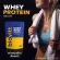 Biovitt Whey Protein Isolate, Biovit Whey Protein, Izo, food supplement for exercise Add fat muscles