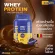 ลดแรง Biovitt Whey Protein Isolate เวย์โปรตีน ไอโซเลท รสช็อกโกแลต เร่งกล้าม ของแท้ 3 กระปุก จากแบรนด์โดยตรง 100%