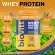 Biovitt Whey Protein Isolate Thaitea Flavor and Chocolate, Biovit, Thai Tea protein, and chocolate flavor, adding lean, lip, weight control