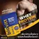 Pack 2 sachets. Biovitt Whey Protein Isolate, whey protein, chocolate, accelerating muscles, lean muscles, sensitive fat, see results quickly.