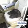เบาะรองนั่ง BackJoy รุ่นโพสเจอร์ คอร์ แทร็กชั่น BackJoy SitSmart Posture Core Traction – Black สีดำ