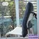 Abloom เบาะรองนั่ง ยางพารา 100% ดีไซน์ปุ่ม 3D กระจายน้ำหนักได้ดี รุ่น Bubble Natural Latex Seat Cushion