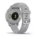 SMART WATCH นาฬิกาอัจฉริยะ GARMIN VENU 2S GPS WIFI MIST GREY PASSIVATED