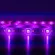 Nestmotion Wi-Fi LED Light Strip RGB+CW - ไฟเส้นอัจฉริยะ เปลี่ยนสีได้ 16 ล้านสี ไม่ต้องใช้ hub ต่อได้ยาวสูงสุดถึง 20 ม.