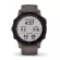 Garmin Fenix ​​6S Pro Solar Amethys W/Shale Band, GPS watch, Multi -Pimiam, 1 year warranty