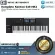 Native Instruments  Komplete Kontrol S49 MK2 by Millionhead
