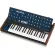 BEHRINGER Monopoly By Millionhead, 37 Key Anti -Synesine Anti -Syzer, comes with a full -sized keypad and also provides a mid 80's aura.