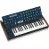 BEHRINGER Monopoly By Millionhead, 37 Key Anti -Synesine Anti -Syzer, comes with a full -sized keypad and also provides a mid 80's aura.