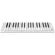 CME XKEY AIR 37 By Millionhead Piano, XKEY 37 AIR, with 37 key connecting Bluetooth or USB, it is lightweight and thin.