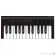 IK Multimedia Irig Keys 2 Mini by Millionhead Midi Keyboard Controller, 25 key can be used with both Mac/PC.