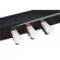 Pastel P-8 By Millionhead Piano, 88, the key gives a true piano. Comes with 128 sounds that have a switch on/off