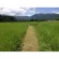 ข้าวหอมมะลิ105 อินทรีย์ ออแกนิค มาตรฐาน USDA ขนาด 1,000กรัม