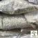 Free delivery ... Barley with vitamin B1, B16, Calcium Phosphorus, Magnesium, Folate, Lake, Nourishing 2 500 grams/ 1 kg.
