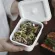 100% organic jasmine rice