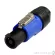 Rean RCACAC3I-G by Millionhead AC Powercon 3 -polarity of the wire connection