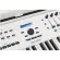 Arturia Keylab 88 MKII by Millionhead Midi Keyboard 88 MINI key comes with 16 Pads, 9 KNOBS, 9 Faders, Transport Bar, Midi, USB and Daw Command.