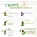 PLEARN น้ำมันหอมระเหยเปปเปอร์มินต์ แท้ 100%  50 ml