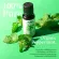 Now Foods Essential Peppermint Oil, Organic 30 ml 100% Pure & Certified Organic Essential Oil Peppermint