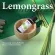 Now Foods Essential Lemongrass Oil, 100% Pure Pure Lemon Great Essential Oil