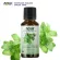 Now Foods Essential Peppermint Oil, Organic 30 ml 100% Pure & Certified Organic Essential Oil Peppermint