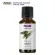 Now Foods Essential Sage Oil 30 mL 100% Pure น้ำมันหอมระเหย เสจ