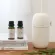 SMELL Lemongrass, pure essential oil, size 20ml Pure Essential Oil 100% New Products