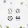 Neals yard remedies Marjoram Sweet Essential Oil