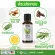 Now Foods, Nature's Shield Oil Blend, Neger Essential Oil