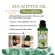 Plearn eucalyptus, 100% authentic essential oil, 100 ml.