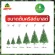 Christmas tree decorated with green, size 150 cm, 5 feet, Christmas Tree 150 cm 5 FT GREEN