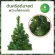 ต้นคริสต์มาสประดับตกแต่ง พร้อมไฟตกแต่ง ขนาด 150 ซม. 5 ฟุต Christmas tree with Decorate light 150 cm 5 ft  Green