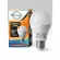 Ready to deliver the TFC LED Bulb 10W/ Dimmable light bulb.