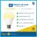 ประกัน 1 ปี! IWACHI A1 LED Bulb 5W / 7W E27 Warm-white / Day-light - หลอดไฟ หลอดปิงปอง สี วอร์มไวท์ / เดย์ไลท์   ขั้วมาตรฐาน ประหยัดพลังงาน