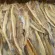 ปลาแห้ง ถุง500กรัม ปลาช่อนทะเล Dried Fish 500g