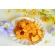 Crispy pineapples are made from fresh, sweet, sour, sour, crispy pineapples through the modern process. Delicious, 65 grams.