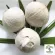 2 types of young coconuts, choose fresh coconut/young coconut, burn, juicy juice, new coconut, sell well, not outstanding.