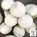 2 types of young coconuts, choose fresh coconut/young coconut, burn, juicy juice, new coconut, sell well, not outstanding.