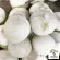 2 types of young coconuts, choose fresh coconut/young coconut, burn, juicy juice, new coconut, sell well, not outstanding.