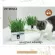 ของแท้ถูกสุด! พร้อมส่ง Vetreska ชุดหญ้าแมวพร้อมปลูก ช่วยให้น้องแมวสุขภาพดี