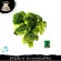 1KG/Pack, frozen blog, Frozen Broccoli