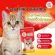 อาหารแมว Zoi Cat ขนมแมว อาหารแมวซอยแคท Zoicat zoi-cat ขนาด1กิโลกรัม สูตรโซเดียมต่ำสำหรับแมวทุกสายพันธ์