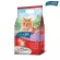 Cat N JOY Cat Food Catne Joy Cat food at all ages, food for big cats, kittens and old cats, size 400 grams and 1.2 kilograms