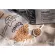 Iconic cat food, Iconic Cat Food, premium cat food Discussion cat food in all ages, 1 kilogram of cat snacks