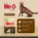 อาหารแมว อาหารลูกแมว ขนมแมว  มีโอโกลด์ Me-O Gold ขนาด 1.2 โล อาหารแมวพรีเมียม Meo gold
