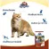 Kaniva cat food, size 380-400 g, small bag