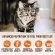 Wellness Core Indoor Dry Cat Food 900g, premium grade cat food x Petsister